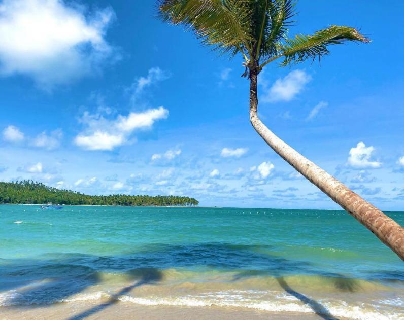 Flat Praia Dos Carneiros Eco Resort 26 Tamandaré Dış mekan fotoğraf